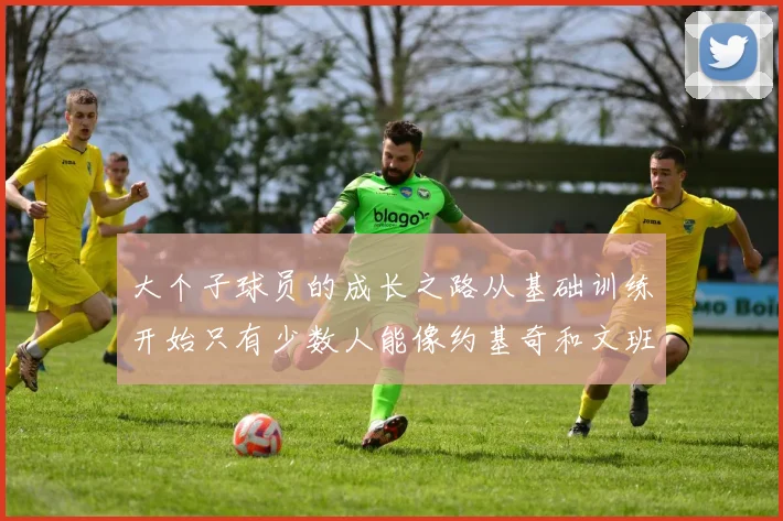 大个子球员的成长之路从基础训练开始只有少数人能像约基奇和文班那样成功