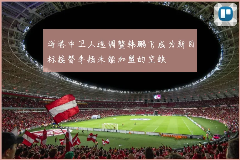 海港中卫人选调整韩鹏飞成为新目标接替李扬未能加盟的空缺