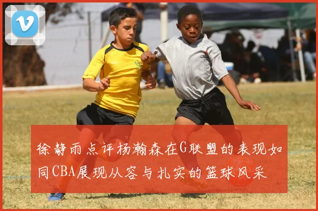徐静雨点评杨瀚森在G联盟的表现如同CBA展现从容与扎实的篮球风采